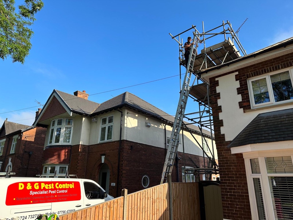 pest control scunthorpe